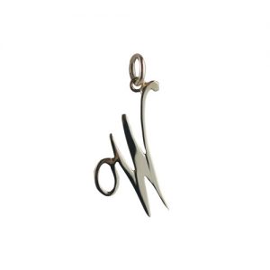 9ct Gold 28x21mm plain palace script Initial W Pendant