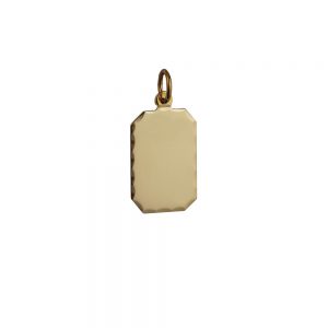9ct Gold 18x12mm diamond cut edge rectangular Disc Pendant