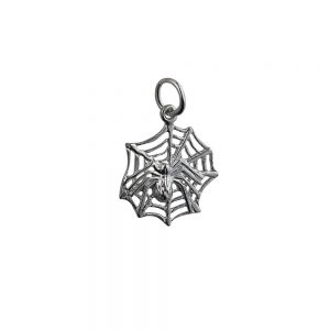 Silver 17x16mm Spider on Web Pendant or Charm