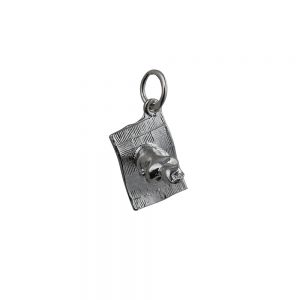 Silver 12x13mm Magic Carpet Pendant or Charm