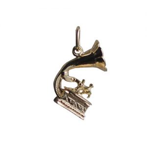 9ct Gold 17x11mm Gramaphone Pendant or Charm