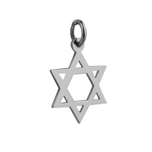 9ct White Gold 17x17mm plain Star of David Pendant