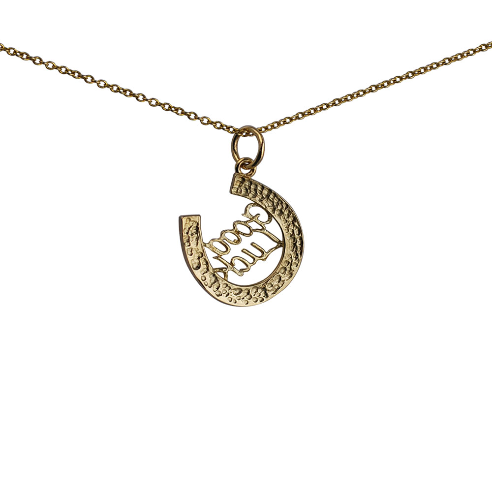 9ct Gold 16x16mm solid Horseshoe with Good Luck Pendant with a 1.1mm wide cable Chain - Image 2