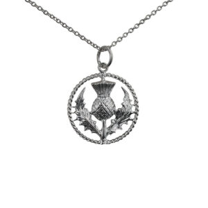 Silver 19mm Scottish Thistle Pendant with a twisted wire surround with a 1mm wide rolo Chain 18 inches