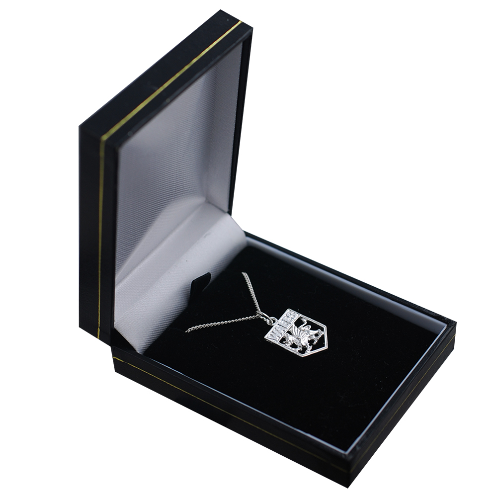 Silver 18x15mm Wales Badge Pendant with a 1.3mm wide curb Chain 24 inches - Image 2