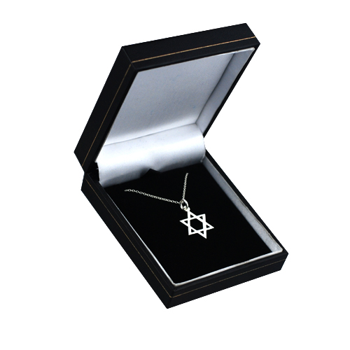 Silver 17x17mm plain Star of David Pendant with a 1mm wide rolo Chain 22 inches - Image 2